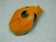 2005-2006 Orange Noir Repsol CBR600RR Carrosserie Moto